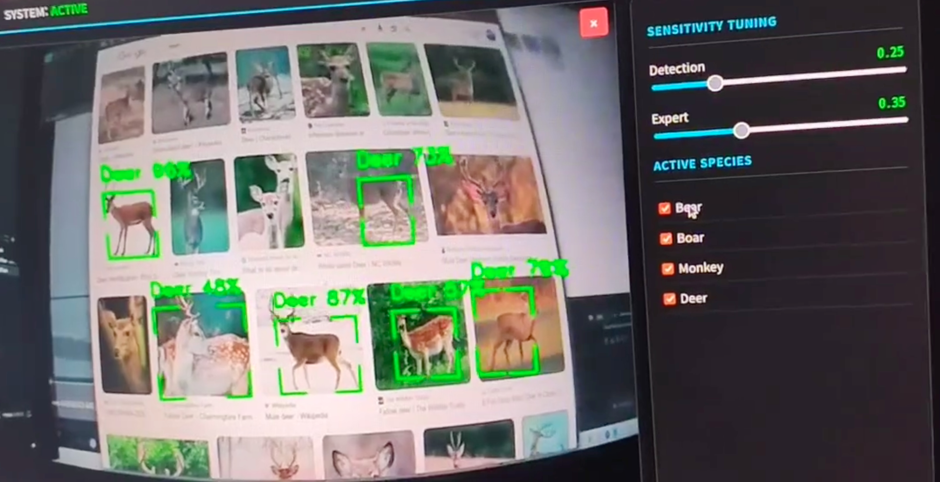 熊検知AIシステム デモ映像